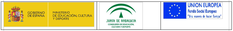 FPDual