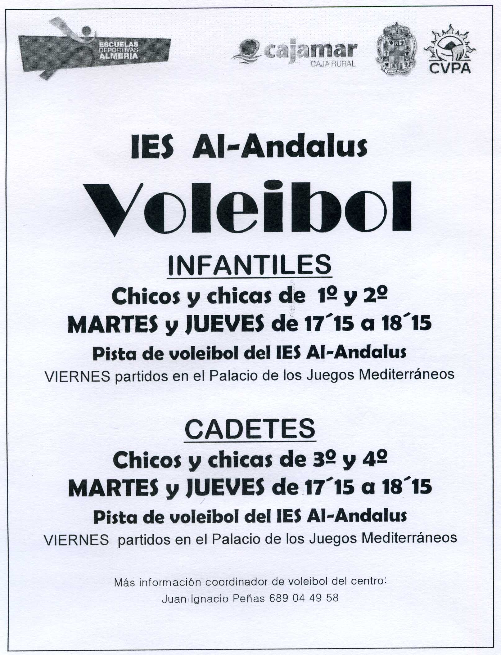 Voleibol